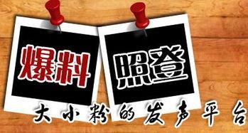 重庆新闻在哪儿能够爆料,市民爆料,聚焦民生热点问题 第1张 重庆新闻在哪儿能够爆料,市民爆料,聚焦民生热点问题 第1张